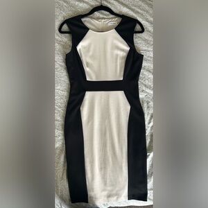 Calvin Klein Black and White Sheath Dress